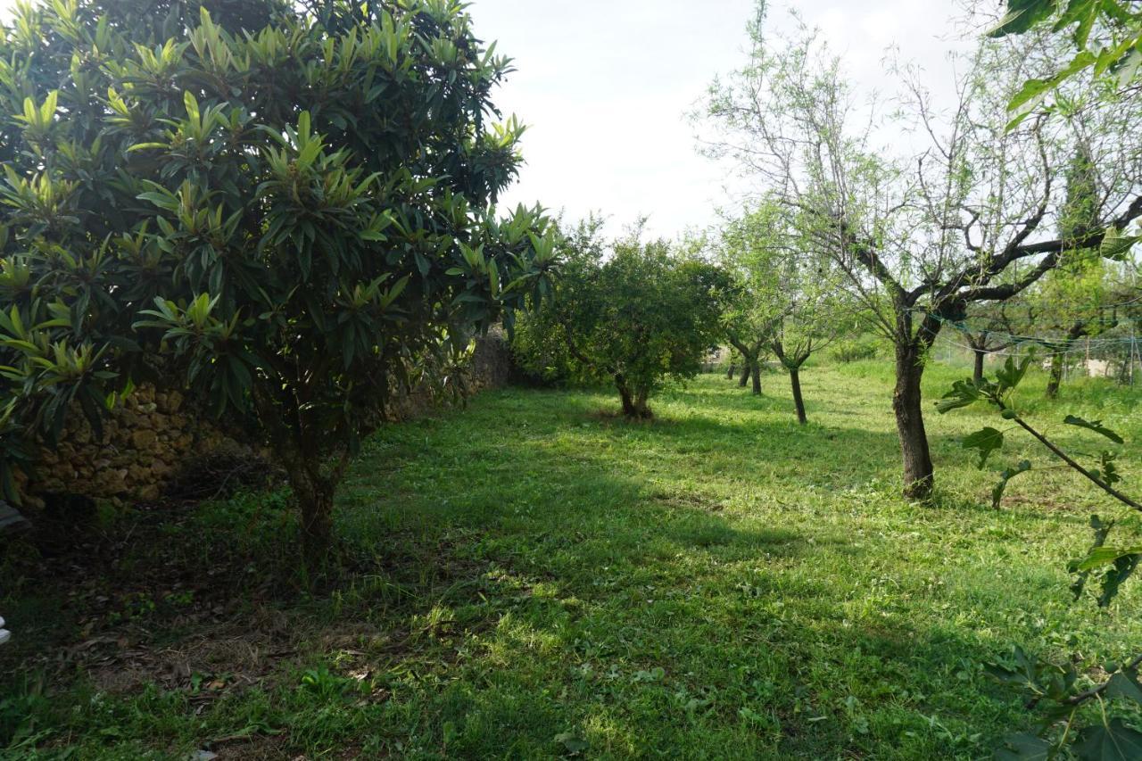 Casa El Regall Calig Luaran gambar